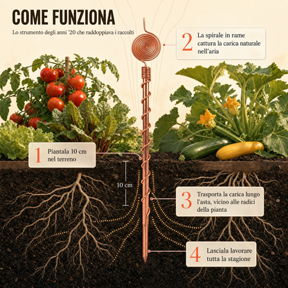 Terranova™ — Antenna in Rame per Elettrocoltura