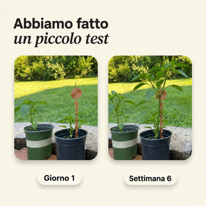Terranova™ — Antenna in Rame per Elettrocoltura