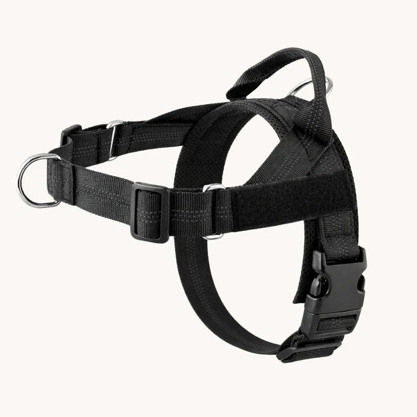 Guidami™ – Pettorina Antitiro per Cani
