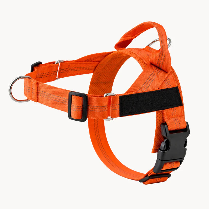 Guidami™ – Pettorina Antitiro per Cani
