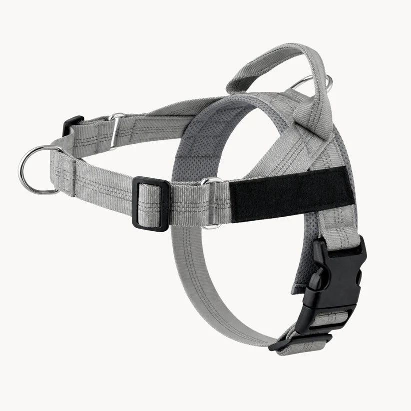 Guidami™ – Pettorina Antitiro per Cani