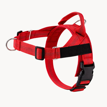 Guidami™ – Pettorina Antitiro per Cani