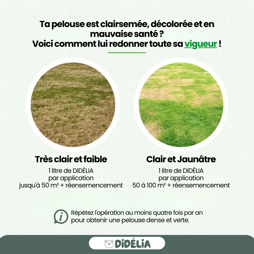 DIDÉLIA™ - Engrais de printemps