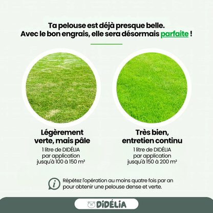 DIDÉLIA™ - Engrais de printemps
