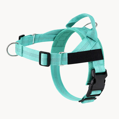Guidami™ – Pettorina Antitiro per Cani