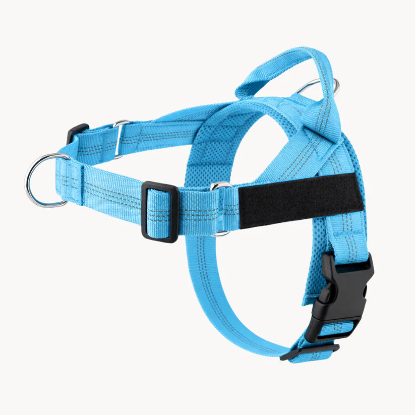 Guidami™ – Pettorina Antitiro per Cani