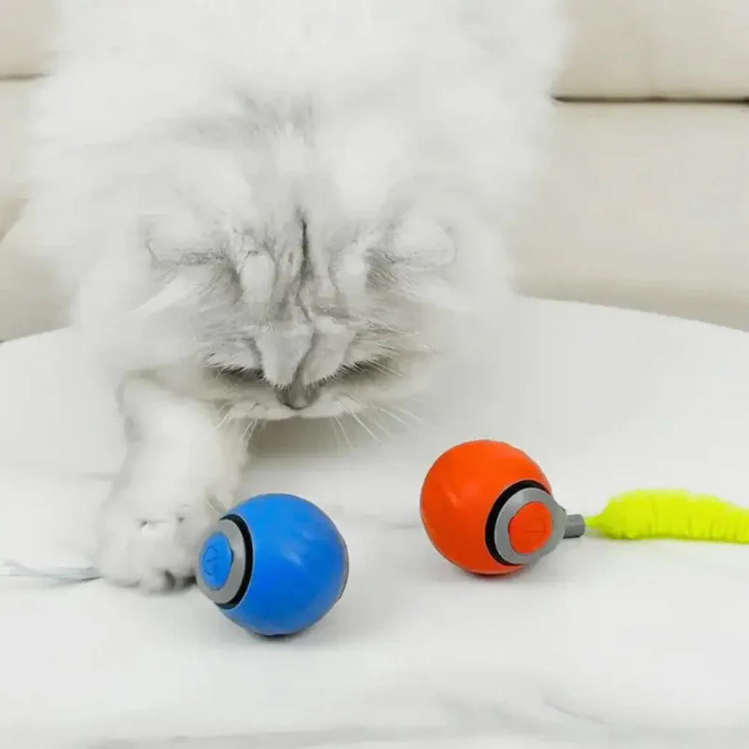Speedy Tail 2.0 - Didélia™