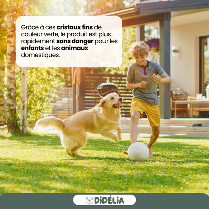 DIDÉLIA™ - Engrais de printemps
