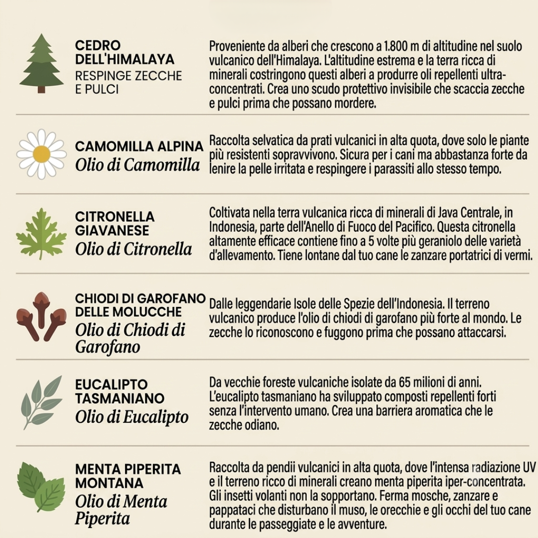 NaturaMedaglia – 12 Mesi di Protezione Senza Chimica