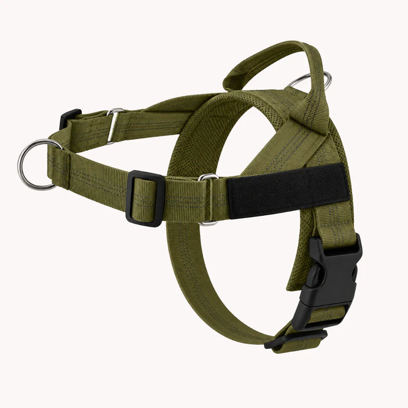 Guidami™ – Pettorina Antitiro per Cani