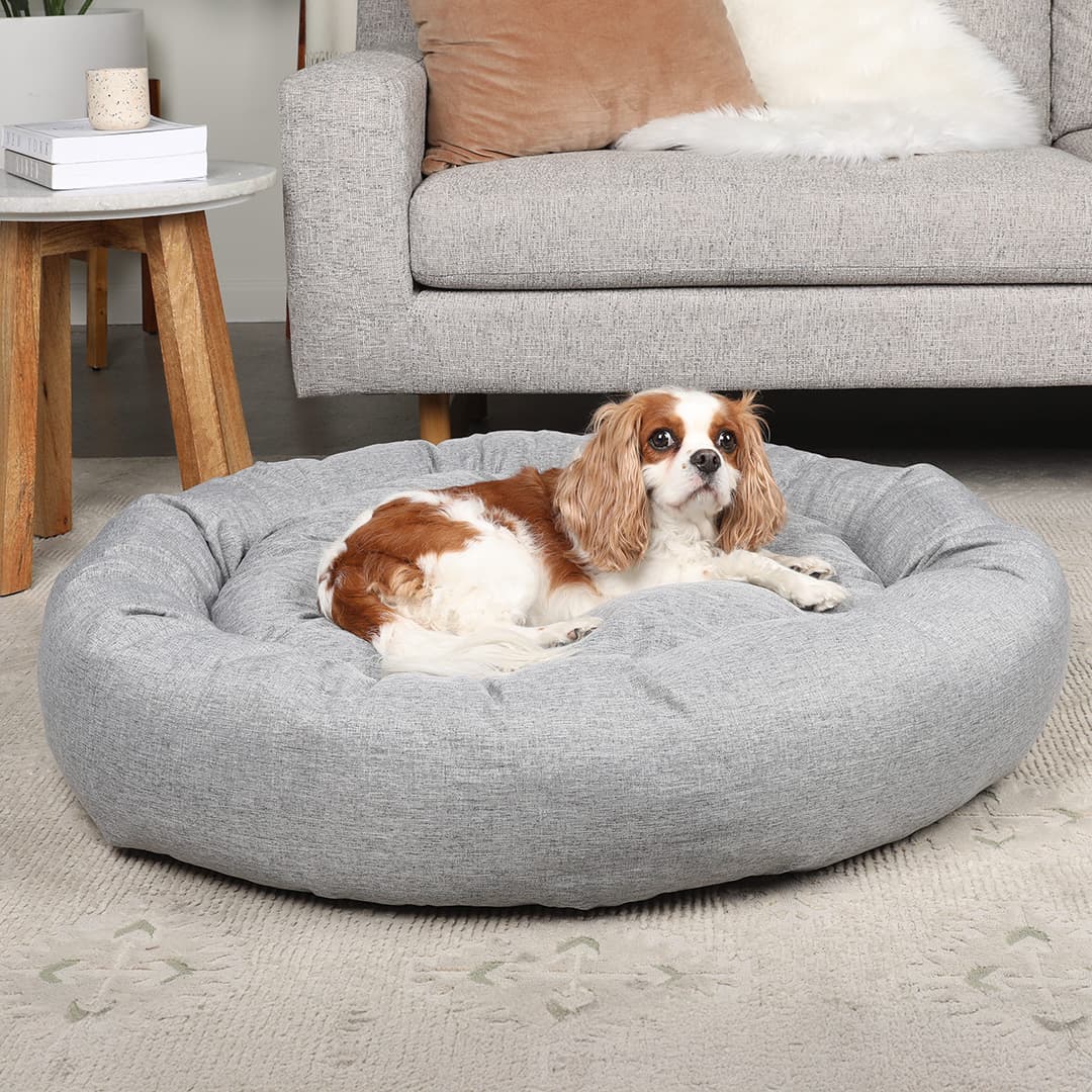 CalmBed™ - Panier Apaisant pour Chien