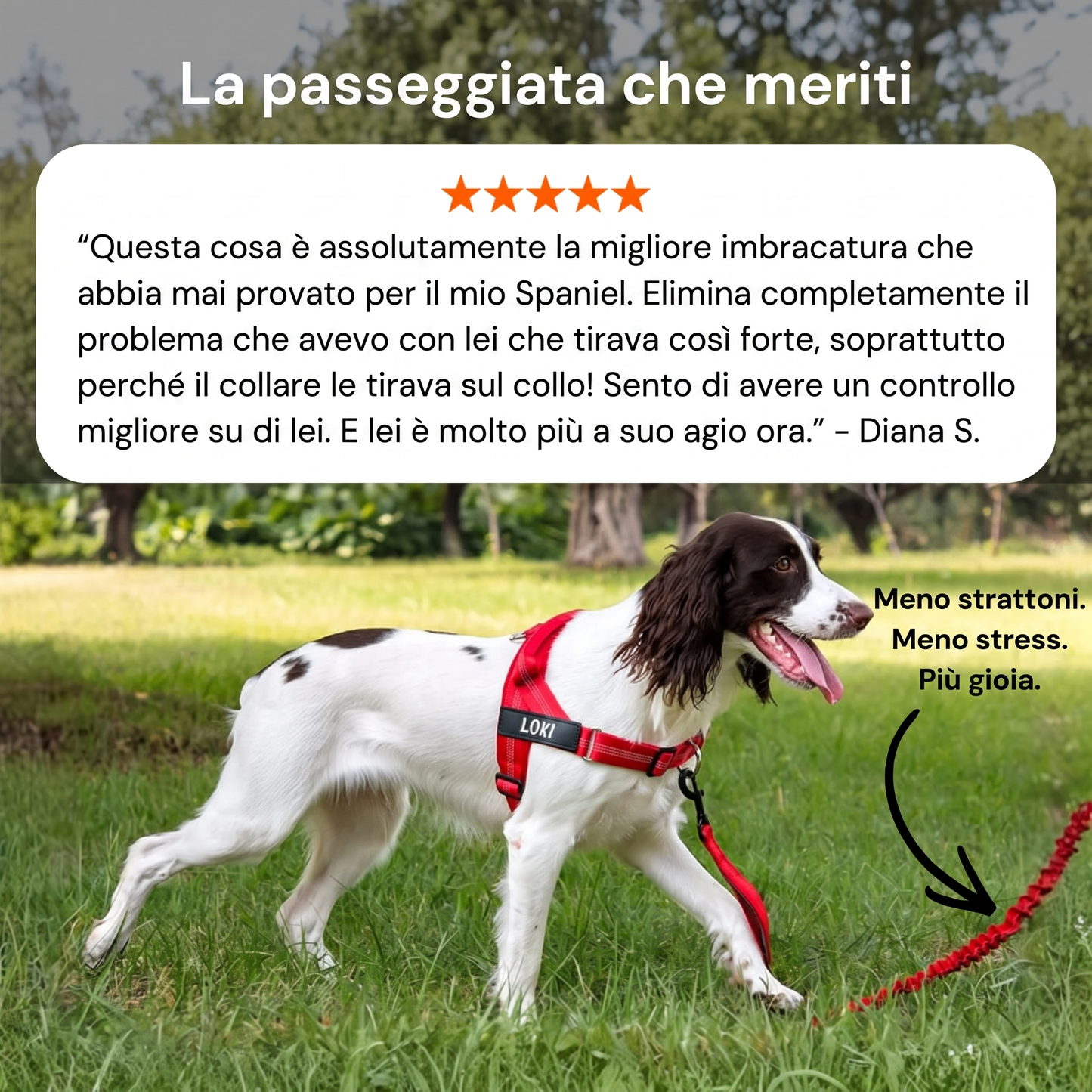 Guidami™ – Pettorina Antitiro per Cani