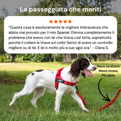 Guidami™ – Pettorina Antitiro per Cani