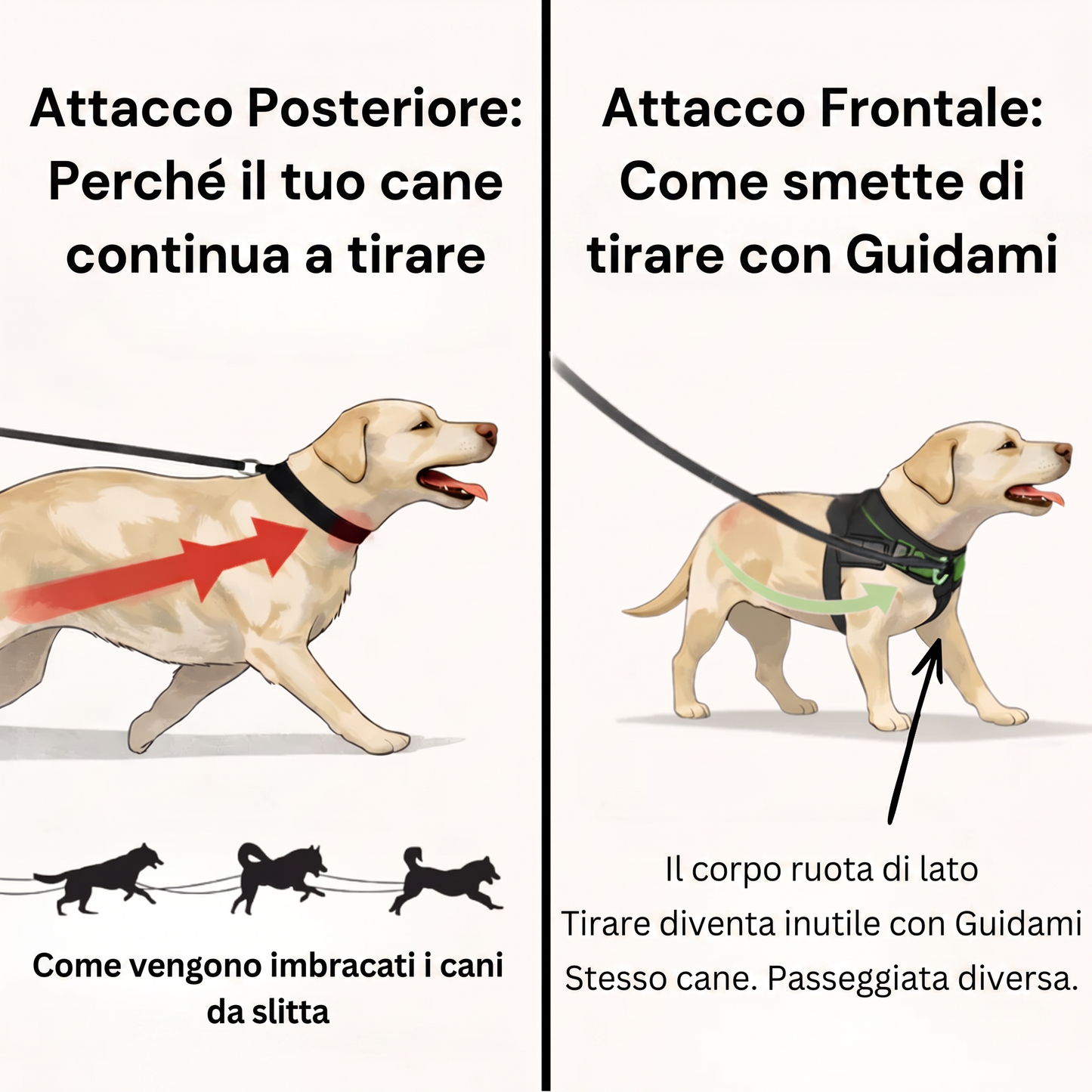 Guidami™ – Pettorina Antitiro per Cani